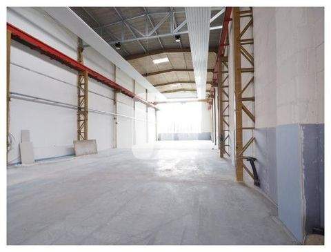 Hamburg Halle, Hamburg Hallenfläche