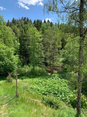 Blick aus dem Erker 1. Stock