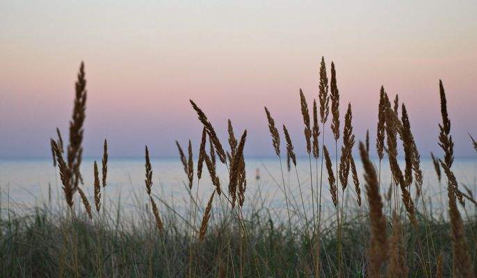 nur wenige Meter zum See