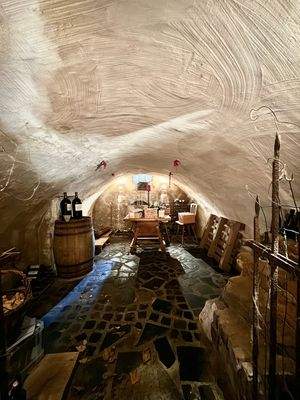 toll hergerichteter Weinkeller mit Gewölbe