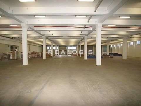 Garching Halle, Garching Hallenfläche