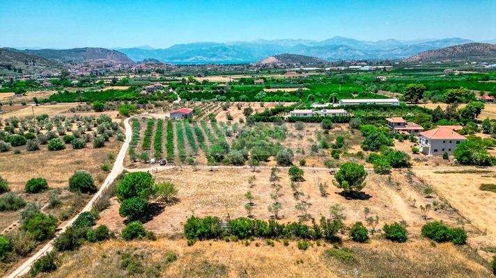 139080d1bc034307b7afa3d1d1250880-original