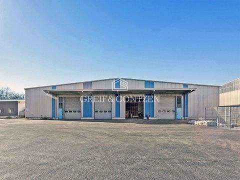 Bergkamen Halle, Bergkamen Hallenfläche