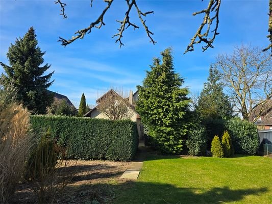 Blick in den Garten