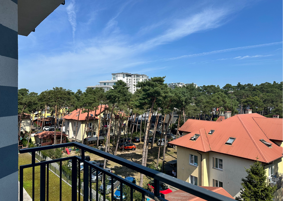 17_Projekt bez nazwy (16).png