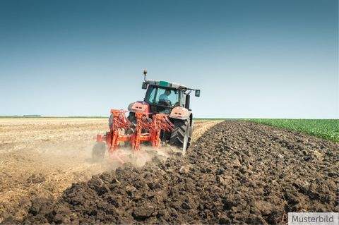 Ibbenbüren Bauernhöfe, Landwirtschaft, Ibbenbüren Forstwirtschaft