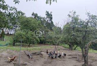 Garten mit Kleintierhaltung