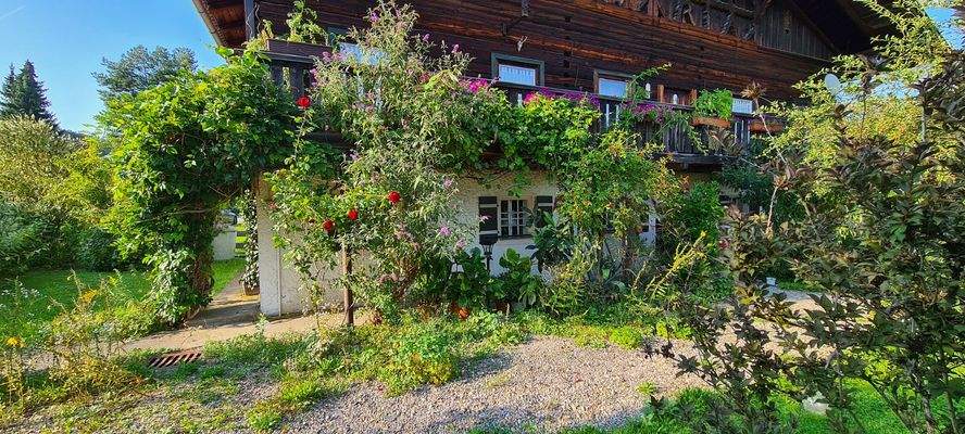 Garten mit Blick zum Haus.jpg