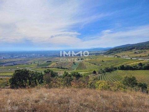 Gumpoldskirchen Grundstücke, Gumpoldskirchen Grundstück kaufen