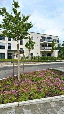 20250603 BUL EF (6).jpg