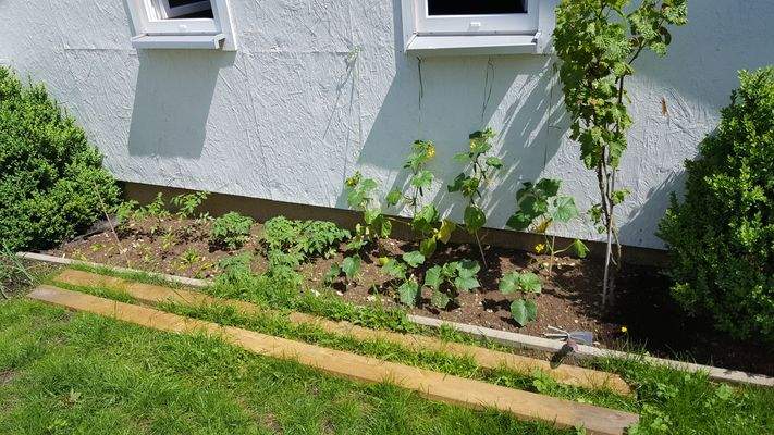 7. Aussenbereich.jpg