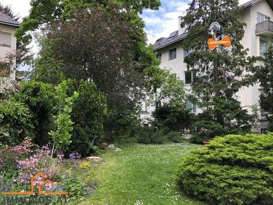 Eindr&#252;cke vom Sommer 