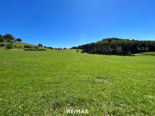 Blick Osten