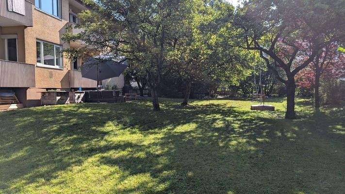 Gartenblick aus Südwest