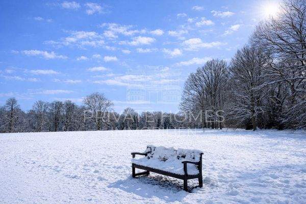 Impression Jenischpark bei Schnee
