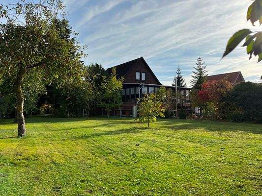 Blick in den Garten