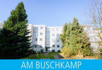 Titelbild mit balken