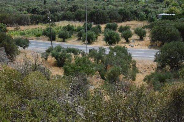 Kreta, Kalo Chorio: Baugrundstück in der Nähe von Stränden zu verkaufen