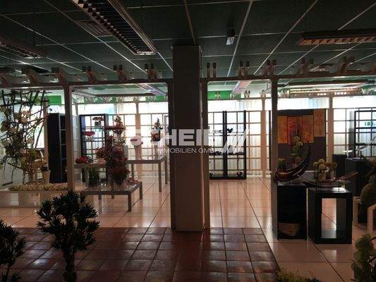 großzügige Fläche