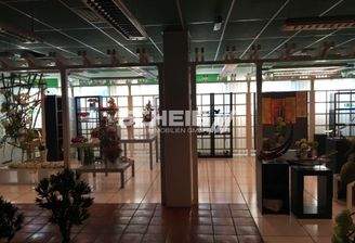 großzügige Fläche