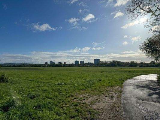 Aussicht Wiesengrund
