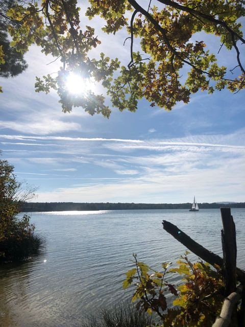 Steinberg am See Wohnungen, Steinberg am See Wohnung kaufen