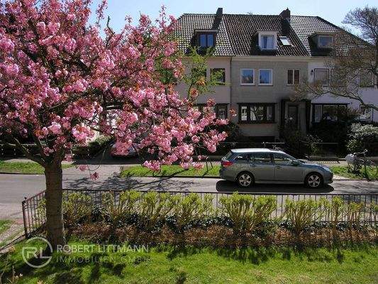 Vorgarten (Frühling)