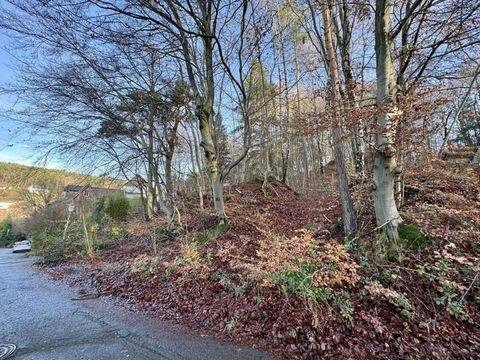 Kaiserslautern Grundstücke, Kaiserslautern Grundstück kaufen