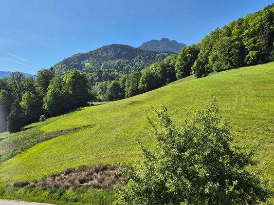 Ausblick nach Westen...