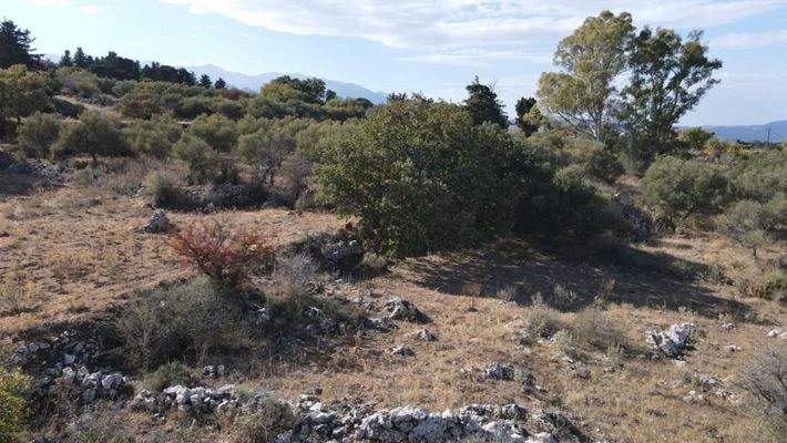 Kreta, Sellia im Apokoronos: Grundstück zum Verkauf mit schöner Aussicht in Sellia