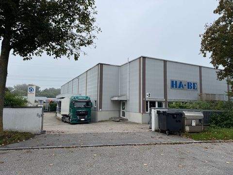 Essenbach / Altheim Halle, Essenbach / Altheim Hallenfläche