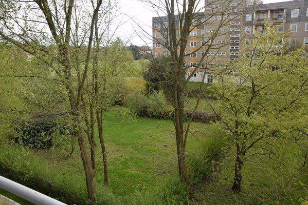 Blick ins Grüne aus dem Fenster 63c Balkon