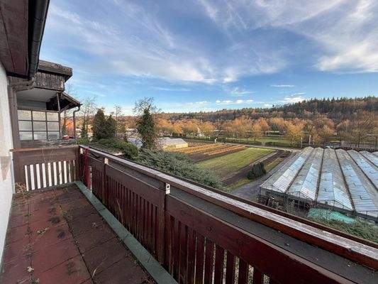 Balkon mit Blick auf den Enzauenpark