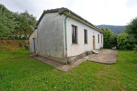 Strettoia-Pietrasanta Häuser, Strettoia-Pietrasanta Haus kaufen