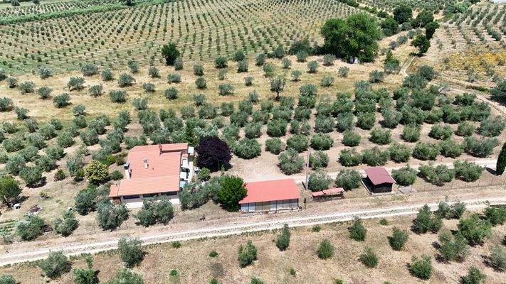 8FCDA948-124A-410A-9466-B76F103D6D70_1_102_o