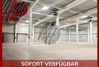 INFOS UNTER: 06171-586000