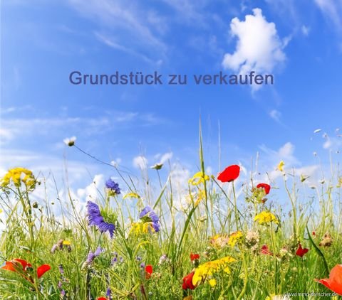 Quierschied Grundstücke, Quierschied Grundstück kaufen