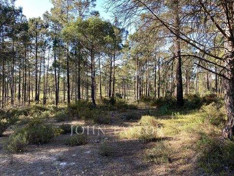 Comporta Grundstücke, Comporta Grundstück kaufen