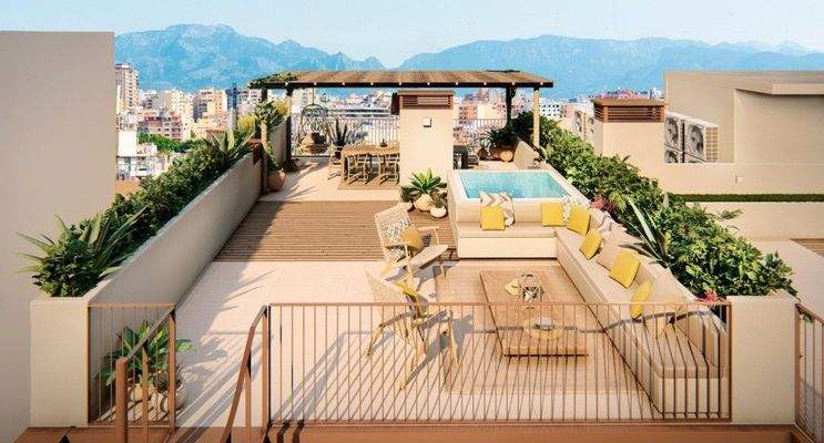 Roof Terrace