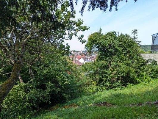 Blick vom Garten über Niefern