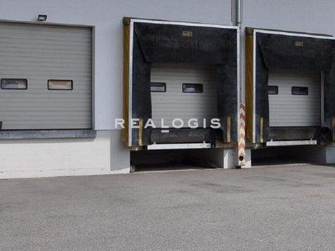 Großbeeren Halle, Großbeeren Hallenfläche