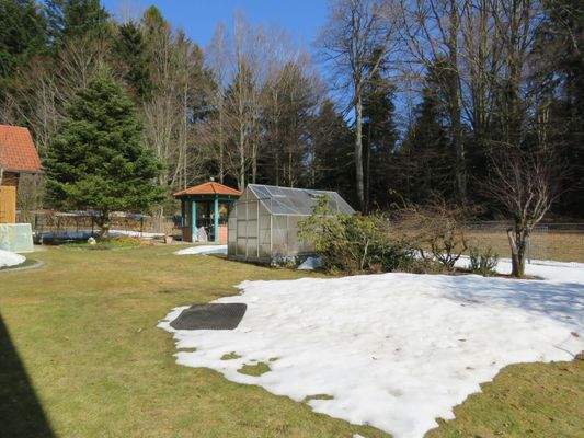 hinterer Teil des Grundstücks 