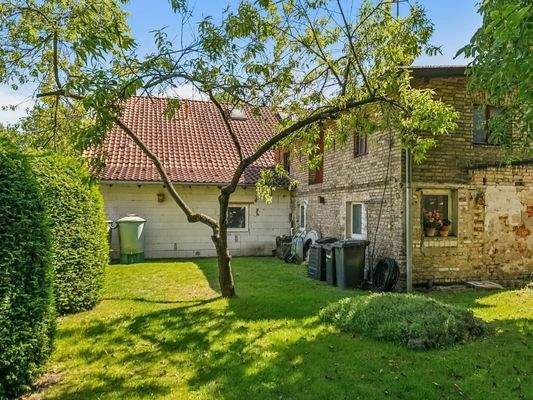 Impressionen Grundstück V_1