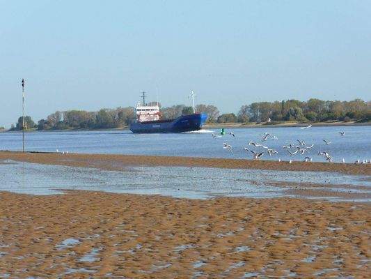 Frachtschiff / Weser
