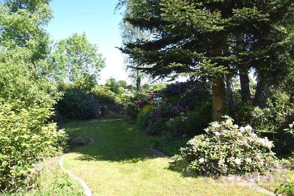 Garten Bild 3