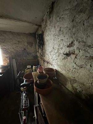 3 Keller und Hof (4)