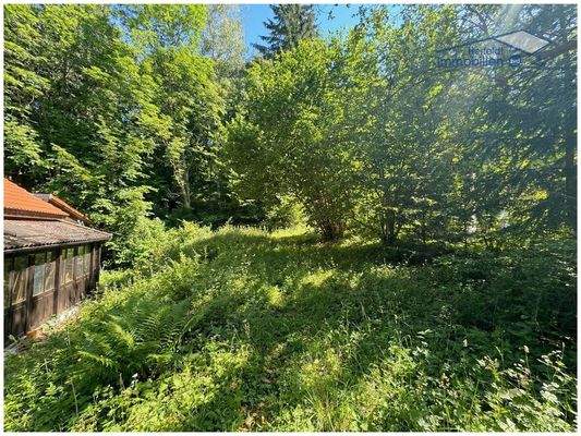 Sehr idyllisch und ruhig