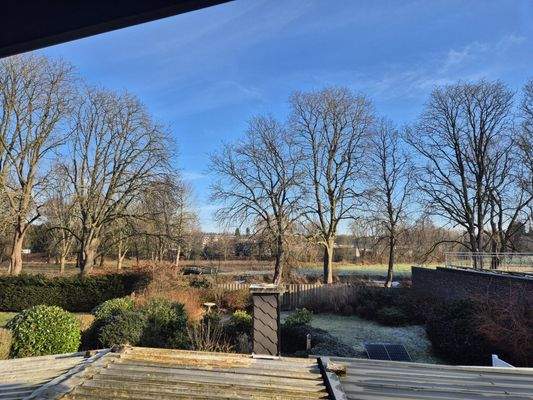 Ausblick Garten vom OG