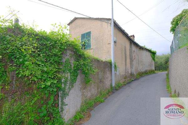 Rif 1462(Copy22).jpg