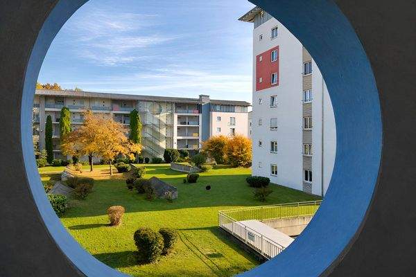 gepflegte Außenanlage